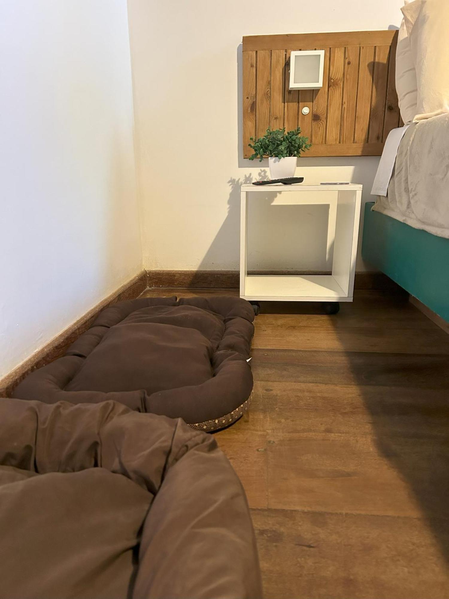 Pitaya Suites Кунья Экстерьер фото